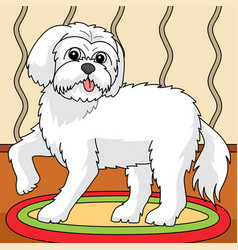 Maltese Dog Colored Cartoon