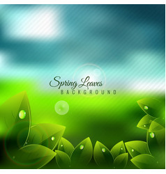 Spring Blurred Background