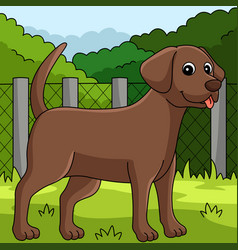 Chocolate Lab Dog Colored Cartoon