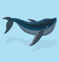 Cute Blue Whale