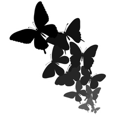 Black and White Flower Border Butterfly Vector Images (over 550)