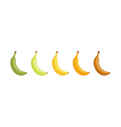 Banana Ripeness Scale Stages Fruit Ripening