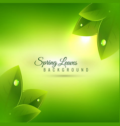 Beautiful Spring Season Background