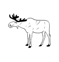 Sketch Hand Drawn Silhouette Of A Moose