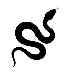 Snake Icon