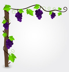 Grapevine Frame