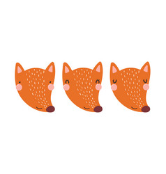 Cute Funny Fox Faces Set