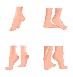 Webset Of 04 Human Feet Flat Icons