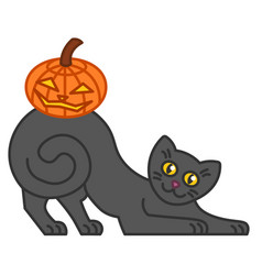 Halloween Black Cat With Pumpkin Lantern On Back