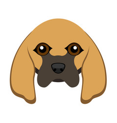 Cute Bloodhound Dog Avatar