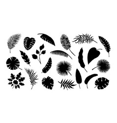 Exotic Leaf Silhouette Tropical Monstera