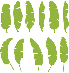 Banana Plantain Leafes Silhouettes Collections