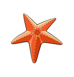 Cartoon Orange Starfish