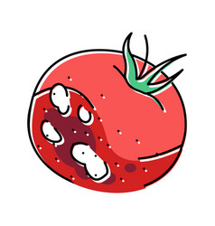 Tomato Rotten Food Color Icon