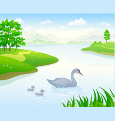 Swan Lake Landscape