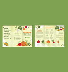 Vegetables Brochure Set