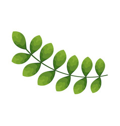 Branch With Leaves