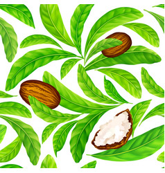 Shea Nuts With Leaves In Pattern