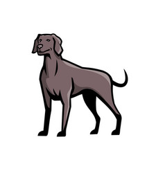 Weimaraner Dog Breed Mascot