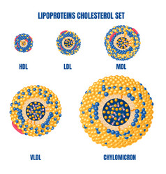 Lipoproteins Cholesterol Set