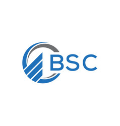 Bsc Flat Accounting Logo Design On White