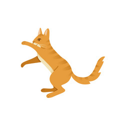 Ginger Cat Cartoon Preparing To Jump Animal