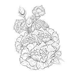 Outline Black Carnation Tattoo Coloring Page