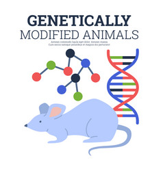 Banner About Genetically Modified Animals Flat