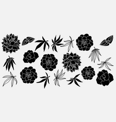 Chic Black And White Floral Graphic Design