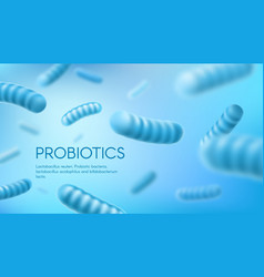 Lactobacillus Bifidobacterium Probiotic Bacteria