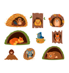 Animals In Holes Animal Home Cartoon Fox Sleep