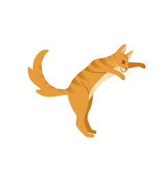 Ginger Cat Cartoon Preparing To Jump Animal