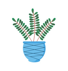 Houseplant In Blue Pot