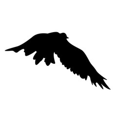 Bird Flying Sequence Silhouette