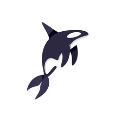 Flat Killer Whale