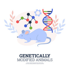 Genetically Modified Animals Poster Rat