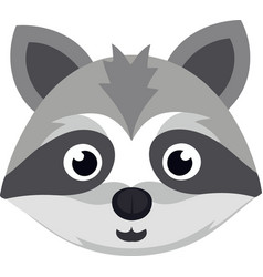 Raccoon Mammal Animal Head