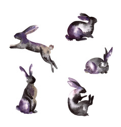 Hare Bunny Watercolor Splash Silhouettes Isolated