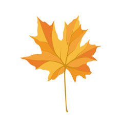 Autumn Maple Leaf