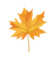 Autumn Maple Leaf