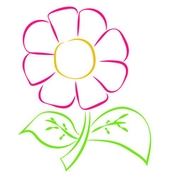 Drawing pink flower color on white background Vector Image