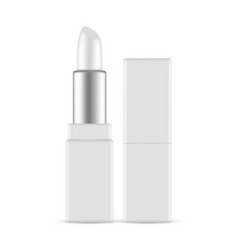 Rectangular Lipstick Mock Up Isolated