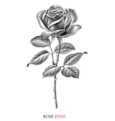 Rose Vintage Black And White Clip Art