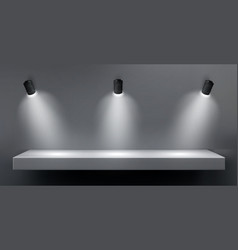 Wall With Shelf And Light Lamp For Product Display