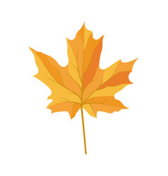 Autumn Maple Leaf