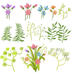 Grass And Flowers Design Elements