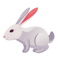 Rabbit Animation Icon Bunny Jump Or Running