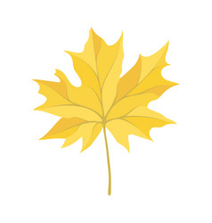 Autumn Maple Leaf