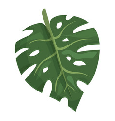 Green Monstera Icon Cartoon Palm Tree