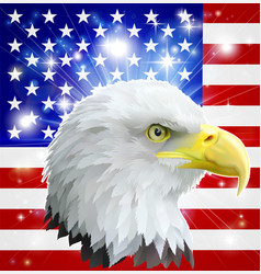 American Eagle Flag